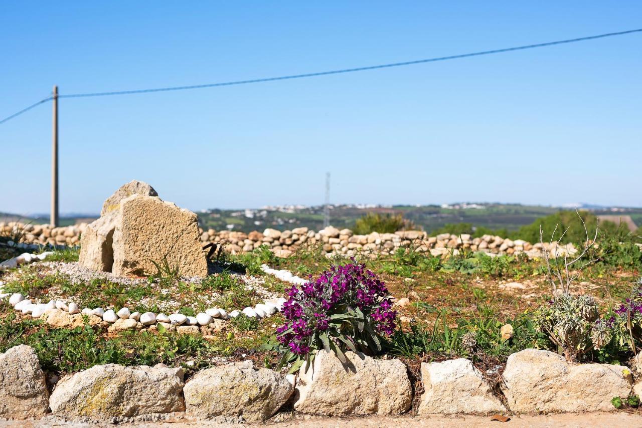 Las Ninas Vejer de la Frontera Ngoại thất bức ảnh