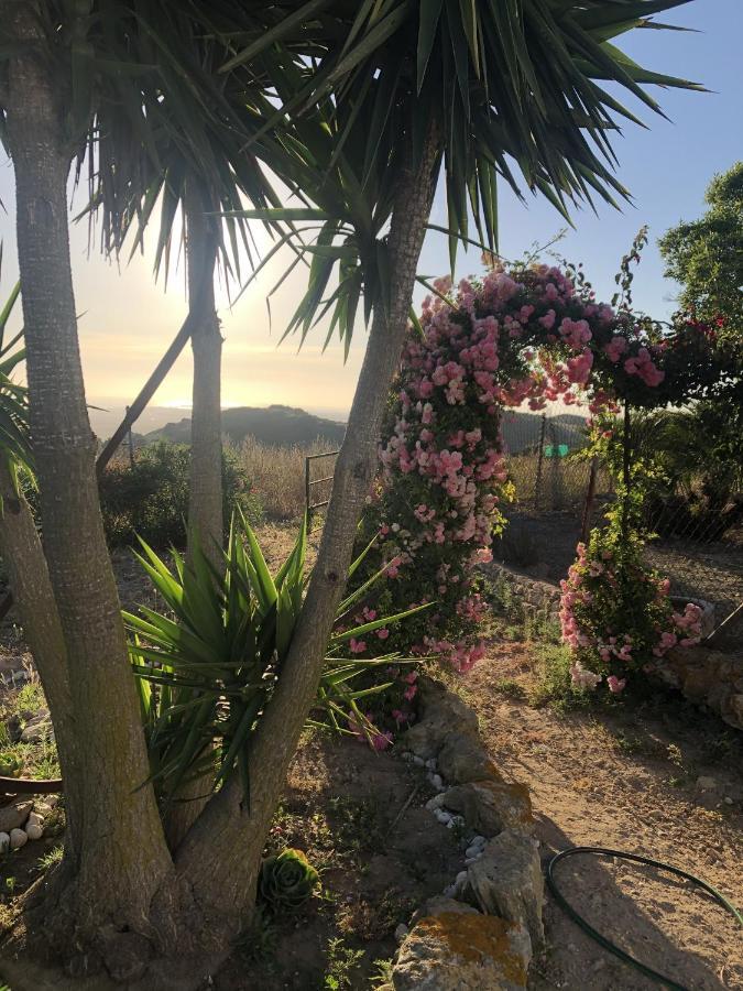Las Ninas Vejer de la Frontera Ngoại thất bức ảnh